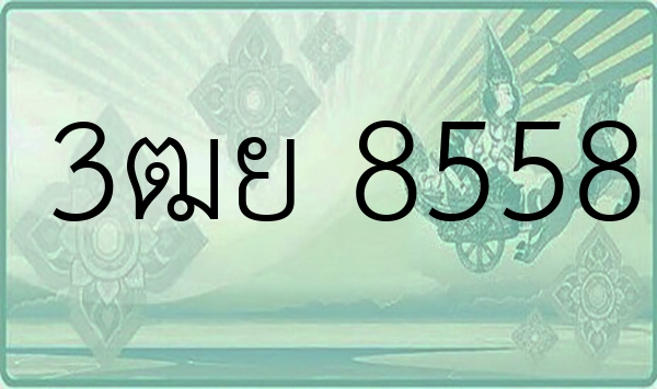 3ฒย 8558
